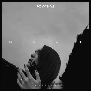 鲁大师手机在线观看免费版第3集
