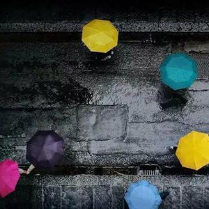 鲁大师手机在线观看免费版第3集
