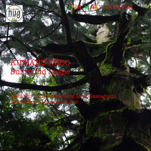 鲁大师手机在线观看免费版第3集
